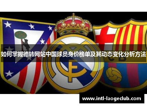 如何掌握德转网站中国球员身价榜单及其动态变化分析方法