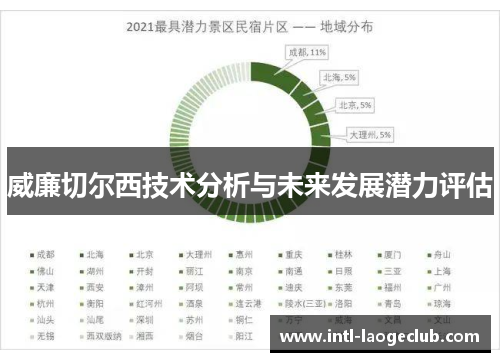威廉切尔西技术分析与未来发展潜力评估