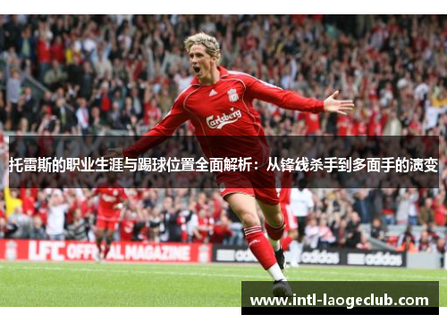 托雷斯的职业生涯与踢球位置全面解析：从锋线杀手到多面手的演变
