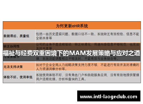 福祉与经费双重困境下的MAM发展策略与应对之道