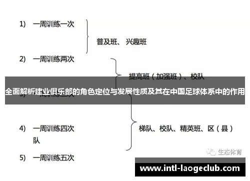 全面解析建业俱乐部的角色定位与发展性质及其在中国足球体系中的作用