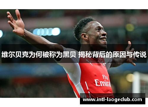 维尔贝克为何被称为黑贝 揭秘背后的原因与传说