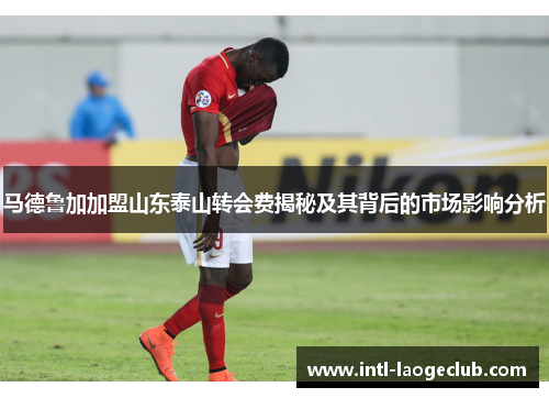 马德鲁加加盟山东泰山转会费揭秘及其背后的市场影响分析