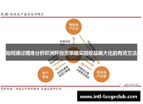 如何通过精准分析欧洲杯投资策略实现收益最大化的有效方法